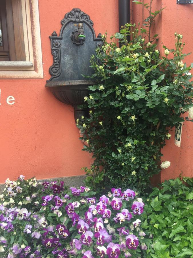 B&B Gira-Sole Cuneo Exteriör bild